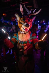 furgroove_2-116-standard.webp