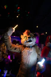 furgroove_2-120-standard.webp