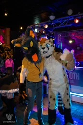 furgroove_2-124-standard.webp