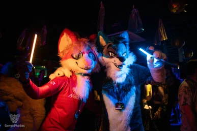 furgroove_2-130-standard.webp