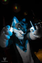 furgroove_2-133-standard.webp