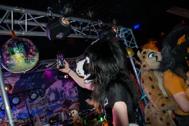 furgroove_2-134-standard.webp