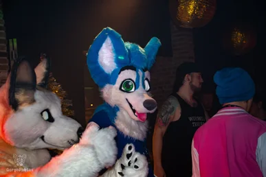 furgroove_2-136-standard.webp