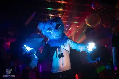furgroove_2-142-standard.webp