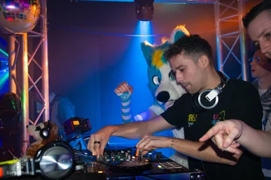 furgroove_2-144-standard.webp