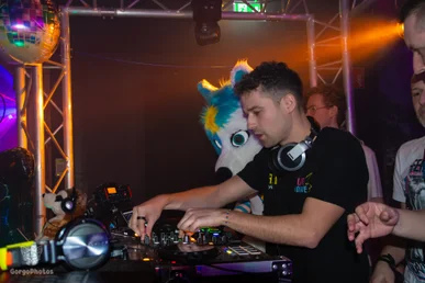 furgroove_2-145-standard.webp