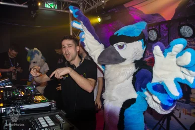 furgroove_2-150-standard.webp