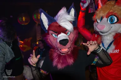 furgroove_2-156-standard.webp