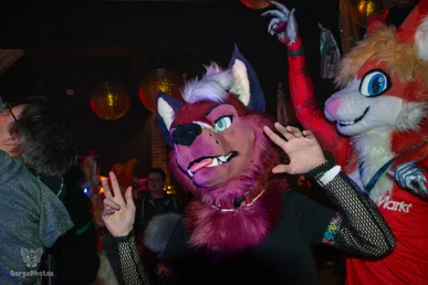 furgroove_2-157-standard.webp