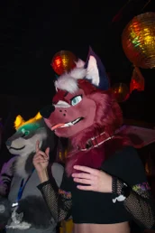 furgroove_2-158-standard.webp