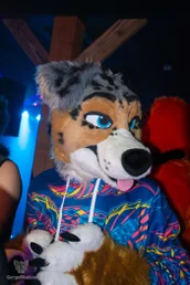 furgroove_2-165-standard.webp