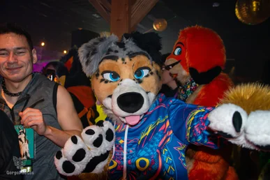 furgroove_2-166-standard.webp