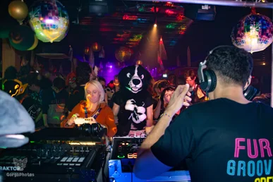furgroove_2-168-standard.webp