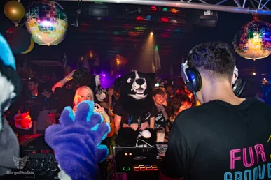 furgroove_2-169-standard.webp