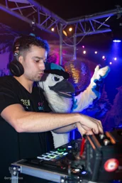 furgroove_2-170-standard.webp