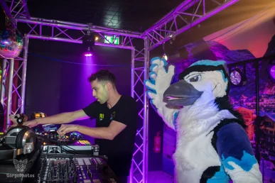furgroove_2-171-standard.webp