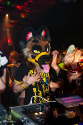 furgroove_2-173-standard.webp