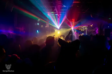 furgroove_2-178-standard.webp