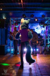 furgroove_2-18-standard.webp