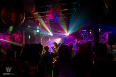furgroove_2-181-standard.webp