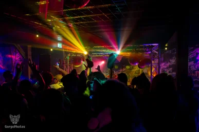 furgroove_2-183-standard.webp