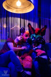 furgroove_2-188-standard.webp