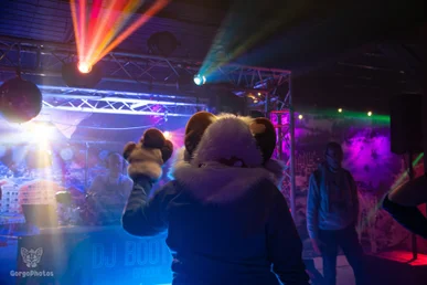 furgroove_2-23-standard.webp
