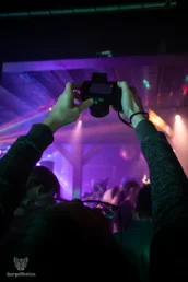 furgroove_2-24-standard.webp