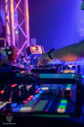 furgroove_2-26-standard.webp