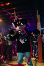 furgroove_2-28-standard.webp