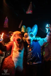 furgroove_2-38-standard.webp