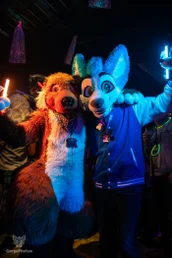 furgroove_2-40-standard.webp