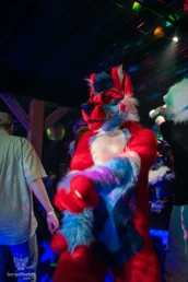 furgroove_2-45-standard.webp