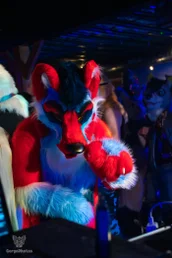 furgroove_2-46-standard.webp