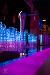 furgroove_2-8-standard.webp
