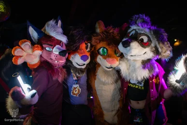 furgroove_2-84-standard.webp