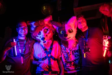 furgroove_2-87-standard.webp
