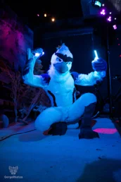 furgroove_2-98-standard.webp