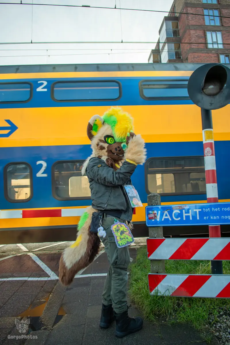 furryfusion_alkmaarfurwalk-17-standard.webp