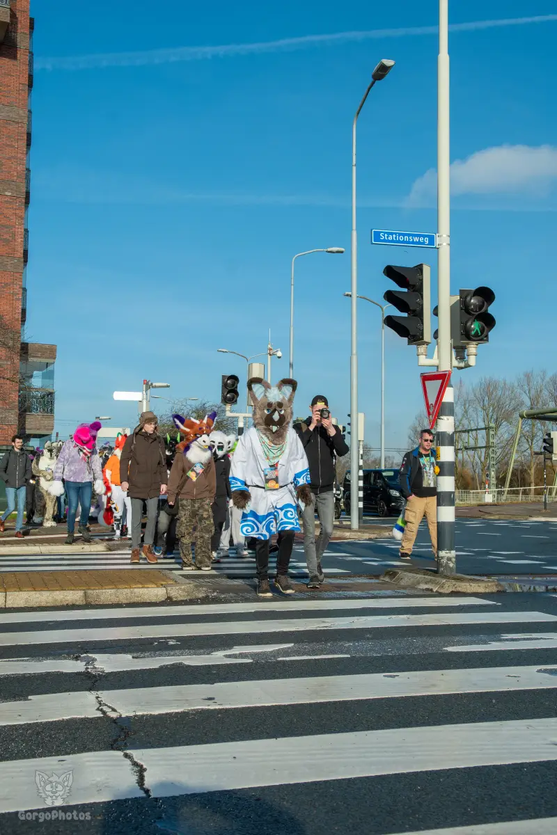 furryfusion_alkmaarfurwalk-18-standard.webp