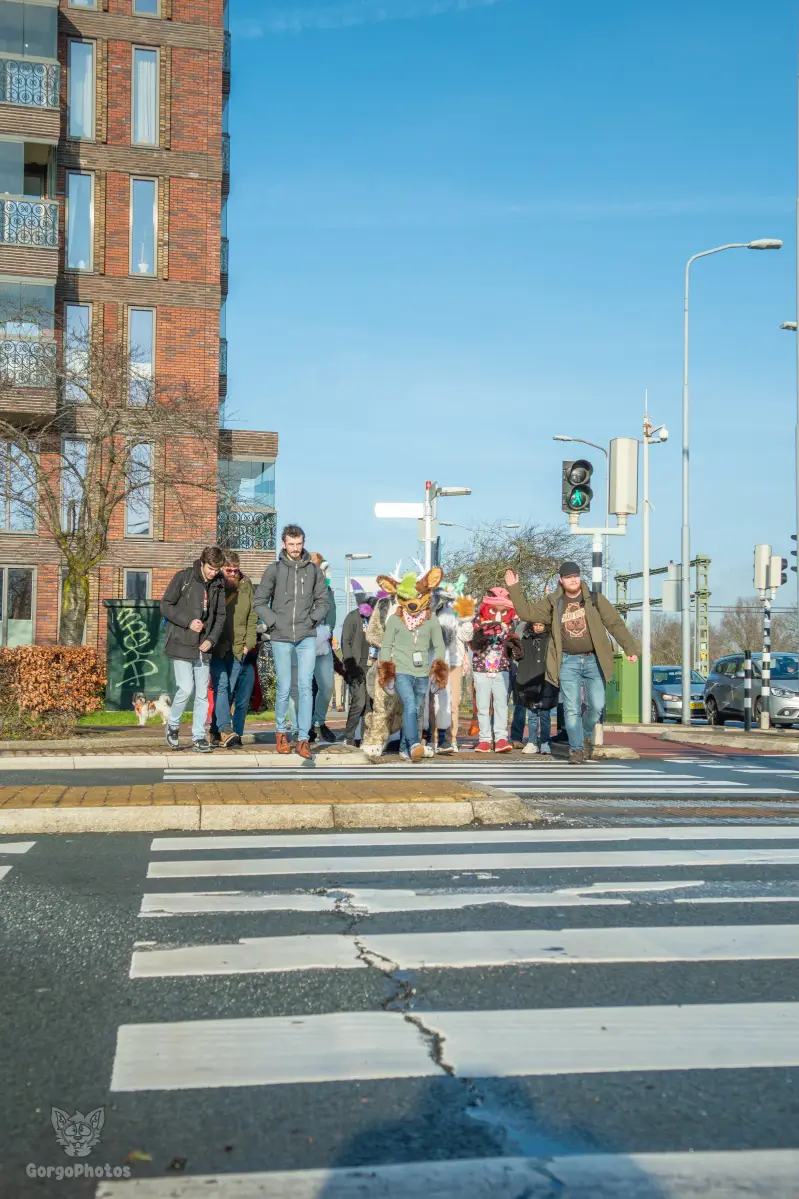 furryfusion_alkmaarfurwalk-19-standard.webp
