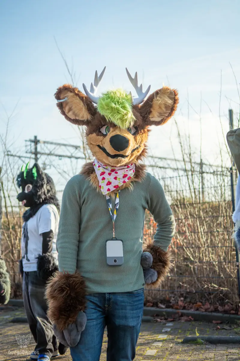furryfusion_alkmaarfurwalk-2-standard.webp