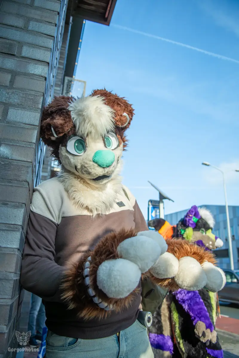 furryfusion_alkmaarfurwalk-22-standard.webp