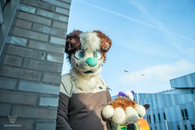 furryfusion_alkmaarfurwalk-23-standard.webp