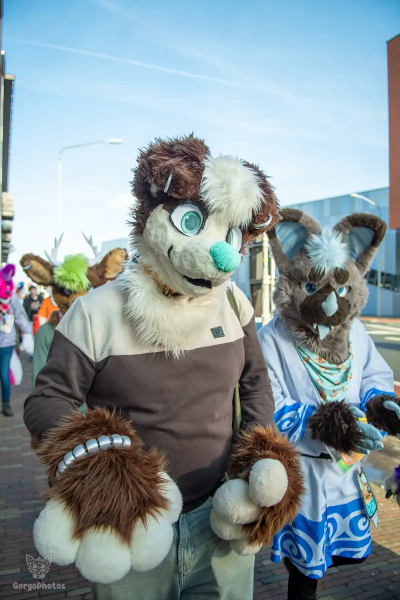 furryfusion_alkmaarfurwalk-29-standard.webp