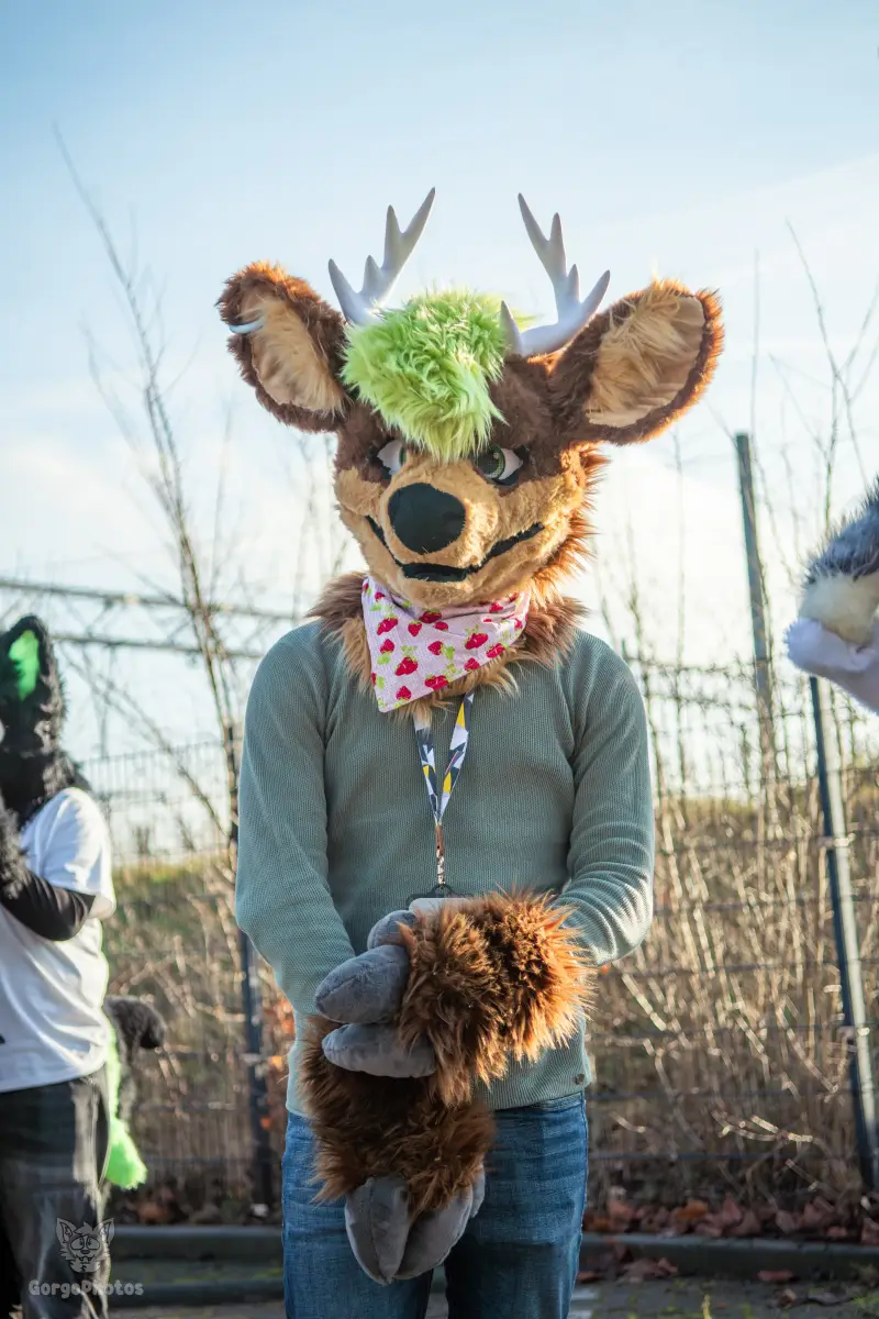 furryfusion_alkmaarfurwalk-3-standard.webp