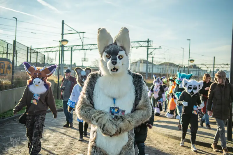 furryfusion_alkmaarfurwalk-4-standard.webp