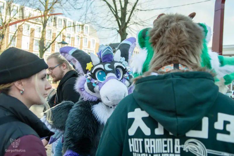 furryfusion_alkmaarfurwalk-43-standard.webp