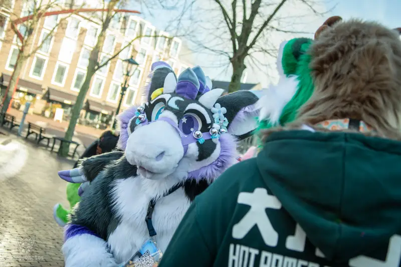 furryfusion_alkmaarfurwalk-44-standard.webp