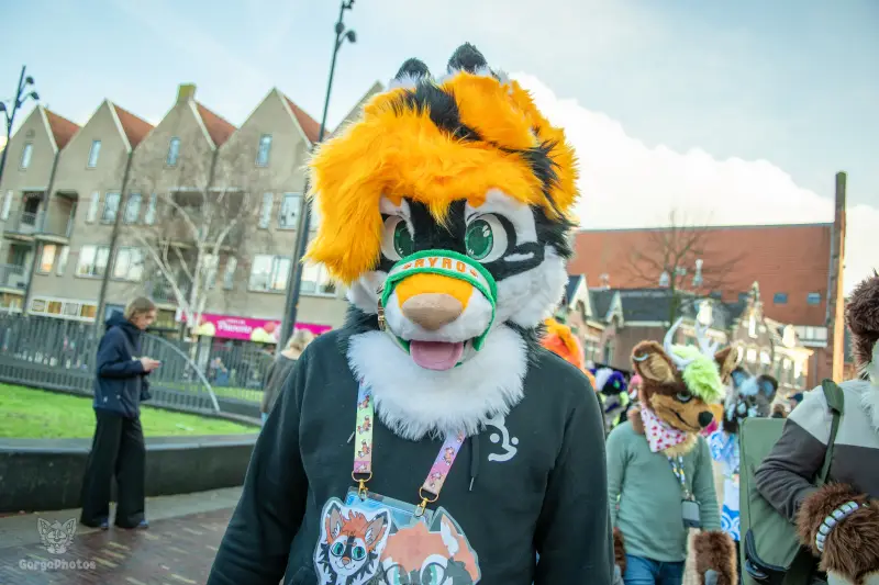 furryfusion_alkmaarfurwalk-49-standard.webp